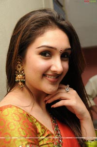 Sridevi at Manjeera Audio Release