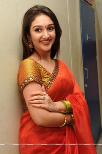 Sridevi at Manjeera Audio Release