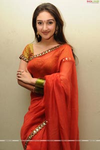 Sridevi at Manjeera Audio Release