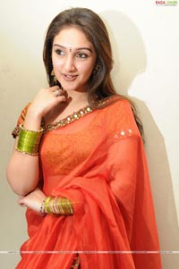 Sridevi at Manjeera Audio Release