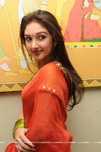 Sridevi at Manjeera Audio Release