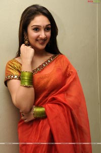 Sridevi at Manjeera Audio Release