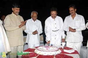 Balakrishna Birthday Celebrations