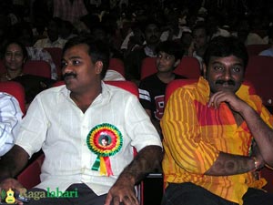 Bunny 100days Function