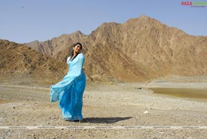 Meera Jasmine Photo Gallery from A Aa E Eee